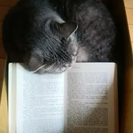 Ai Pellegrini فندق مبيت وإفطار 3*