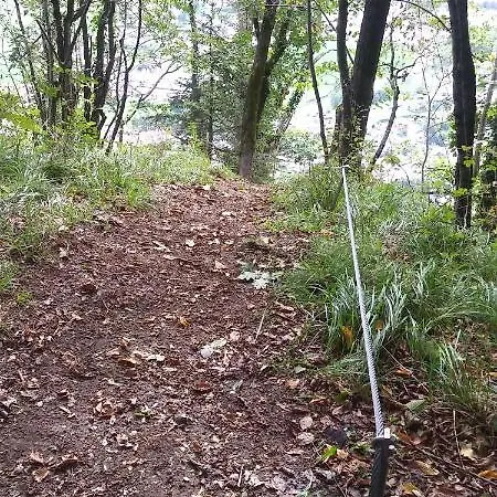 Ai Pellegrini Nocleg ze śniadaniem Villa Santina