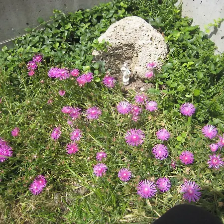 Panzió Ai Pellegrini