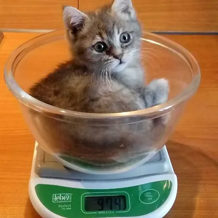 Ai Pellegrini فندق مبيت وإفطار 3*