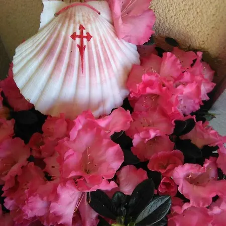 Ai Pellegrini فندق مبيت وإفطار Villa Santina