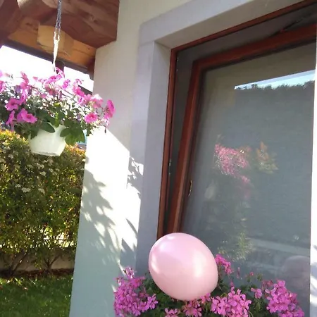 Ai Pellegrini Villa Santina